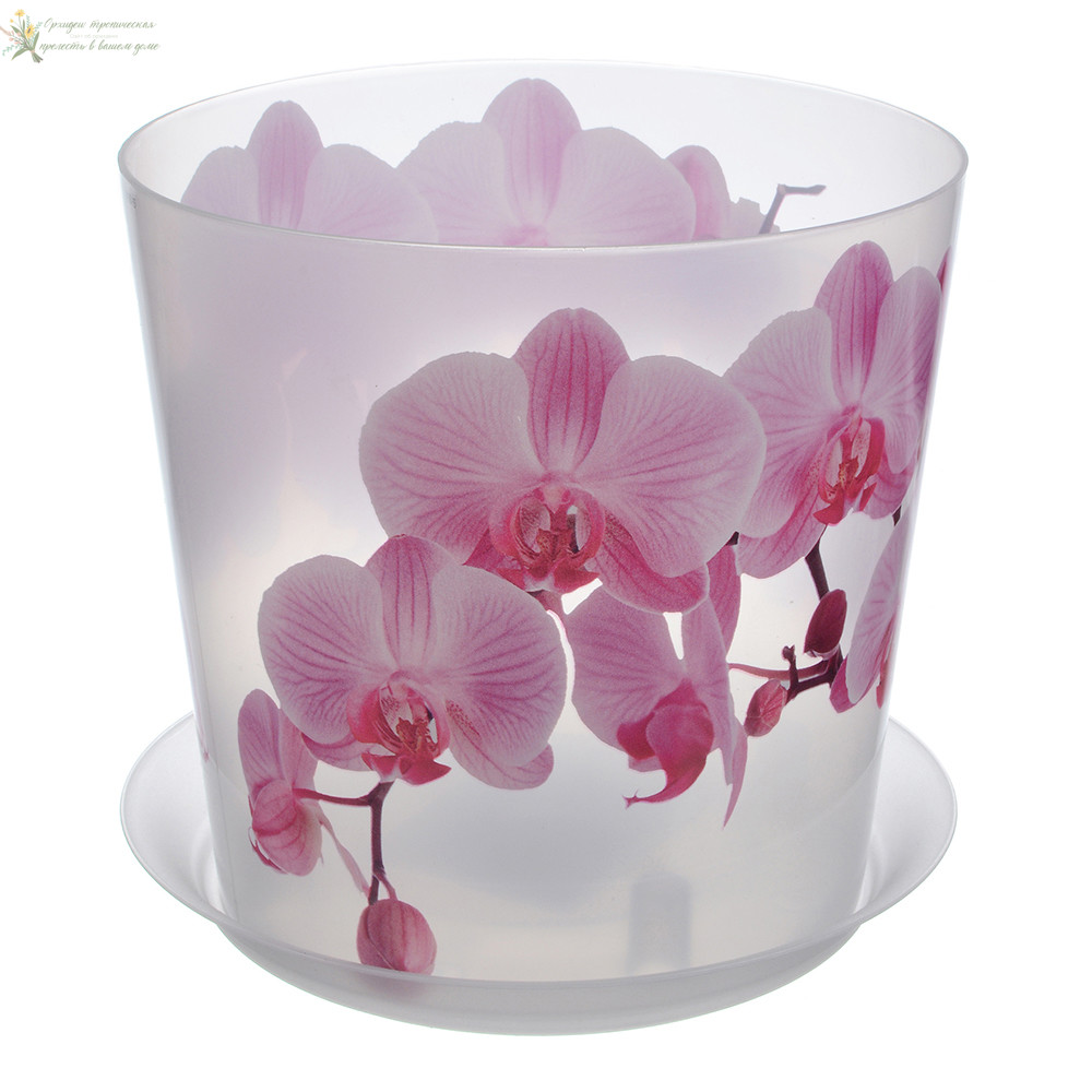 Пример пластикового горшка для орхидеи фаленопсис