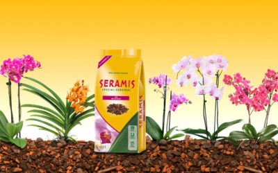 Серамис – грунт для орхидей: что это такое и зачем он нужен