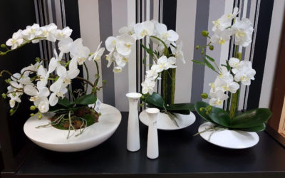 Орхидеи в интерьере: секреты создания зеленых уголков уюта и стиля