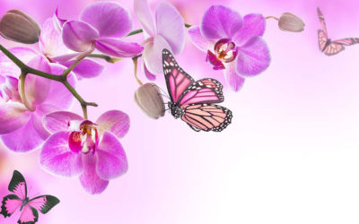 Орхидеи в мире моды: неугасаемый источник вдохновения